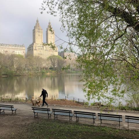 Central Park Lake 2018