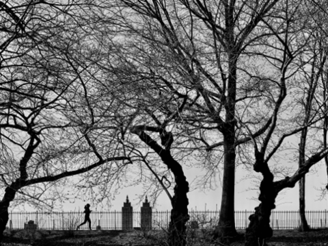 Jacqueline Kennedy Onassis Reservoir