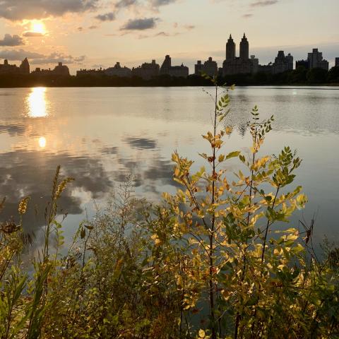 Jacqueline Kennedy Onassis Reservoir