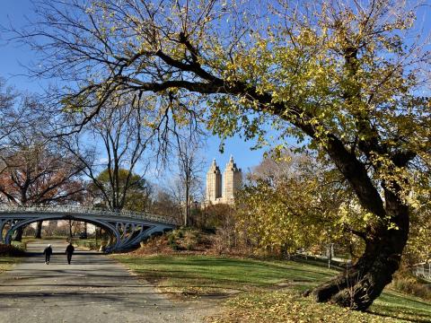 Central Park