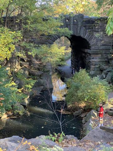 Glen Span Bridge - Central Park