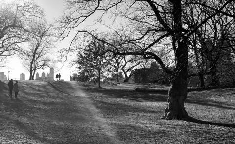 The North Meadow