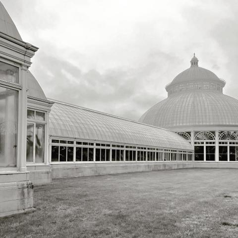 The New York Botanical Garden