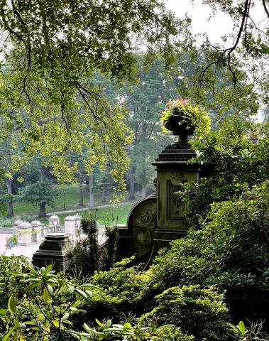 July 20, 2021: Ash from Western fires to haze in Central Park