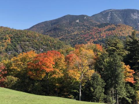 Autumn colors near Giant Mountain in the Adirondacks