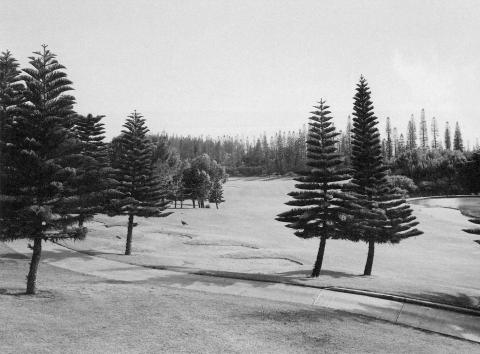 "The Landscape of Golf". Koele Golf Course, Lanaii, Hawaii 