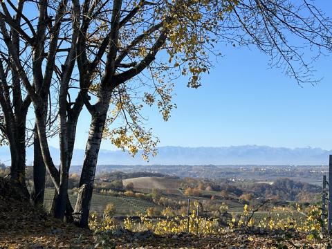 Alba, Piedmont