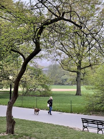 A Walk in the Park