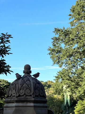 Bethesda Fountain