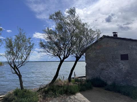 Ravenna