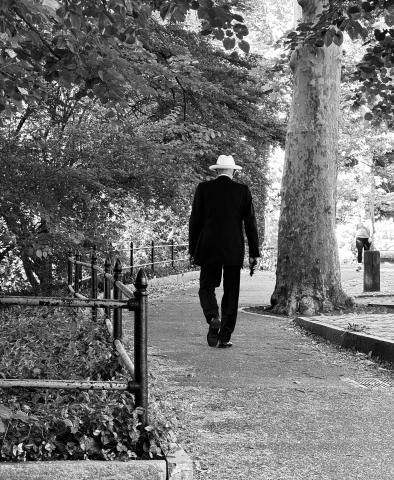 A Walk In The Park