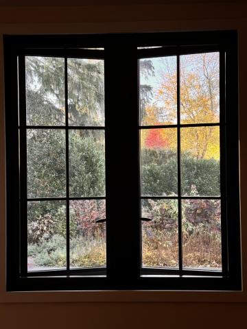 Fall Window
