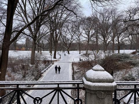 The Park
