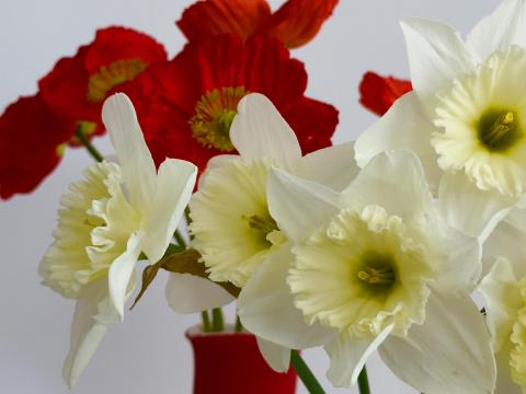 Spring