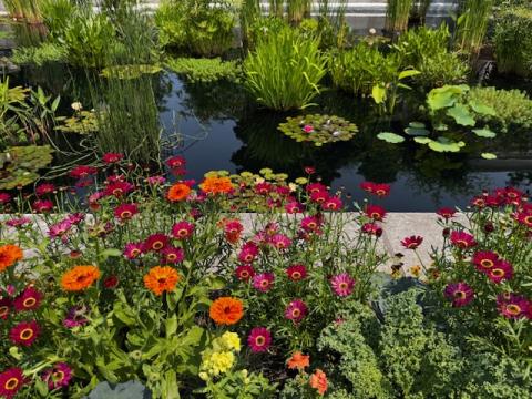 Untermyer Gardens 6.11.2025