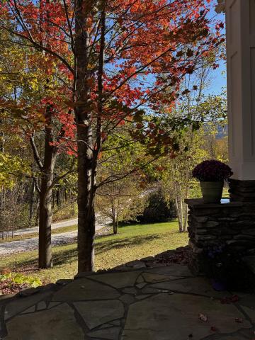 Fall Window