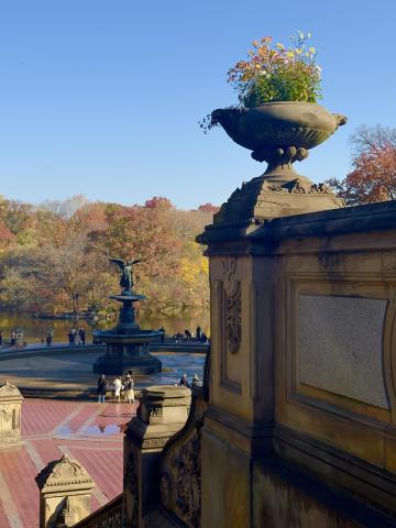 Bethesda Fountain