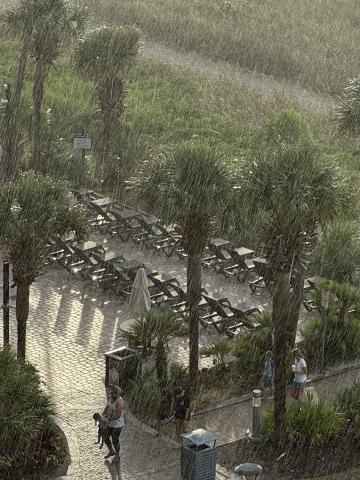 The Storm