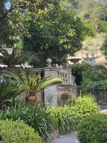 A Garden