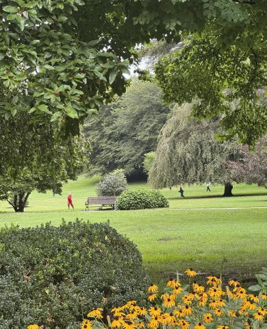 Summer Park