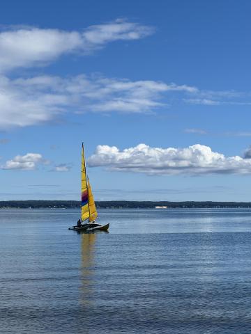 Afternoon Sail
